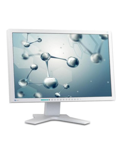 Monitor Reacondicionado Eizo S2202w 22" Dvi-d Y Vga